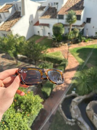 Gafas Ray-Ban Wayfarer R0501S Leopardo