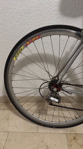 Bicicleta Razesa Cromovelato Talla 52