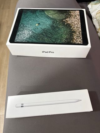 iPad Pro 10.5 Wi-Fi Plata + pencil original