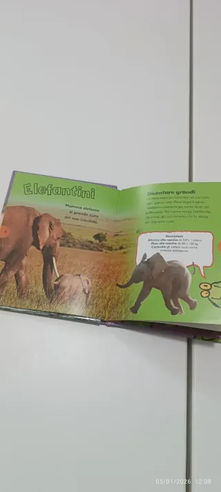 Gli elefanti libro illustrato