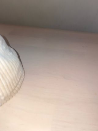 Gorra Obey Pana Crema Logo Rosa