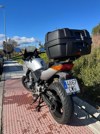 Honda CBF600 - Apta A2