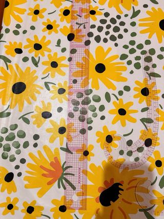 Set Reglas Costura Transparentes