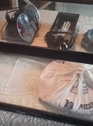 Terrario con lámpara y bebedero