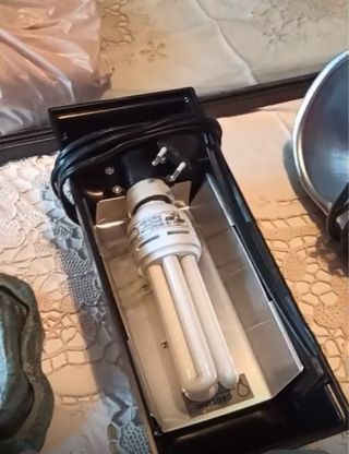 Terrario con lámpara y bebedero