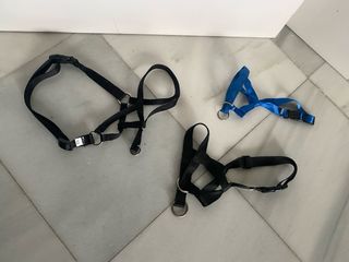 Correa Halty de morro