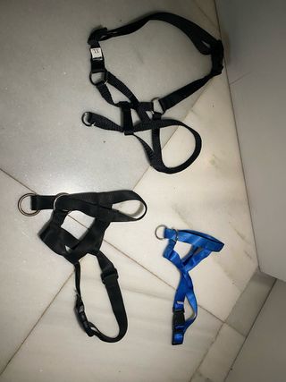 Correa Halty de morro