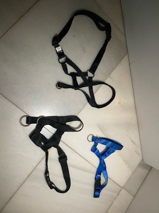 Correa Halty de morro