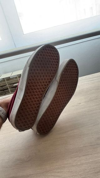 Zapatillas Vans Rojas y Azules