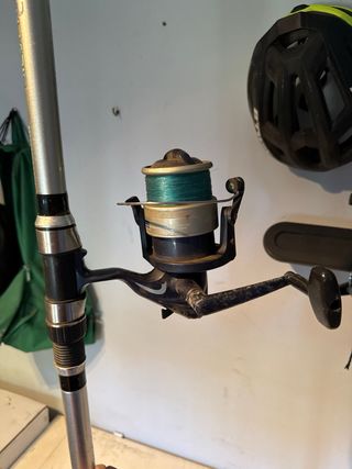 Caña de pescar con carrete y cañero