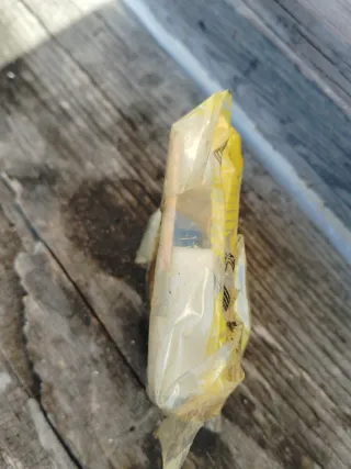 Pestillo Puerta Renault 5 y 7 Nuevo