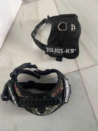 Arnés Julius K9 para perro pequeño