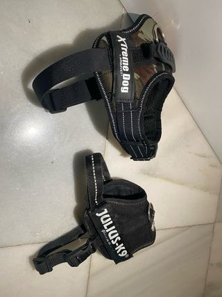 Arnés Julius K9 para perro pequeño