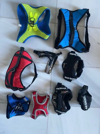 Arnés Julius K9 para perro pequeño