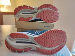 Mizuno Wave Rider 26 Talla 45