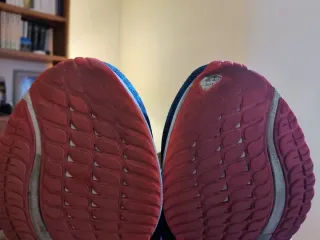 Mizuno Wave Rider 26 Talla 45