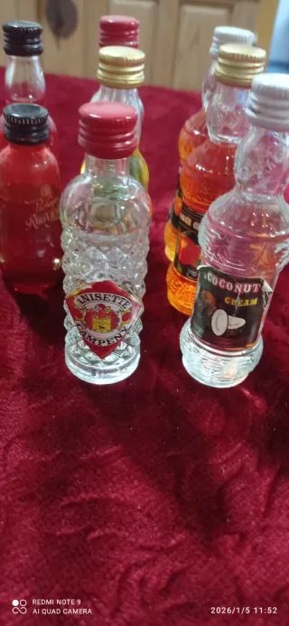 Collezione Mini Bottiglie di Liquore