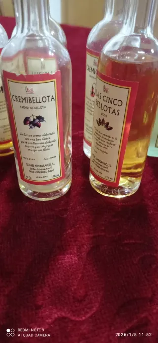 Collezione Mini Bottiglie di Liquore