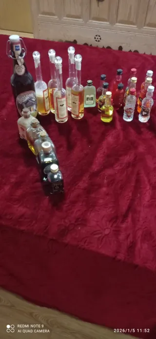 Collezione Mini Bottiglie di Liquore