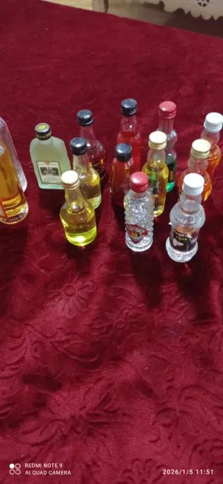 Collezione Mini Bottiglie di Liquore