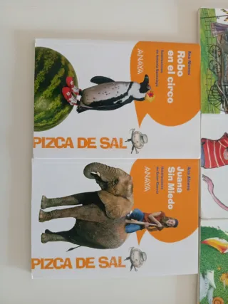 Lote de libros anaya