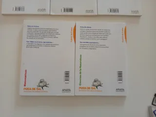 Lote de libros anaya