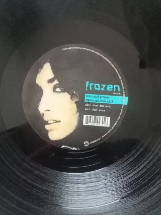 DANILO VIGORITO Orion Muzik - Organic Dub Series 2