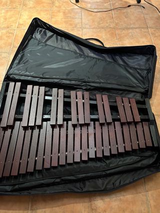 Xilófono para principiantes – Ideal para aprender