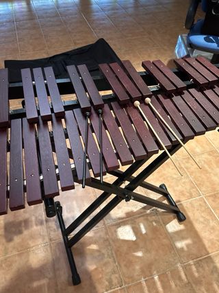 Xilófono para principiantes – Ideal para aprender