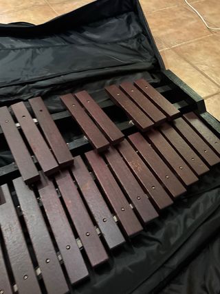 Xilófono para principiantes – Ideal para aprender