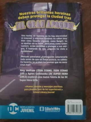 DC SUPER HERO GIRLS: ¡El gran apagón!