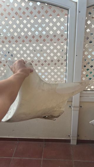 Carenados Yamaha Aerox