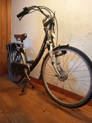 Bicicleta Holandesa a motor de gasolina