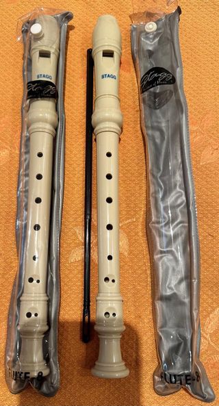 Flauta Stagg-Flute 8