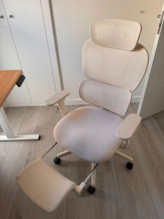 Silla ergonómica FlexiSpot BS5 con reposapiés