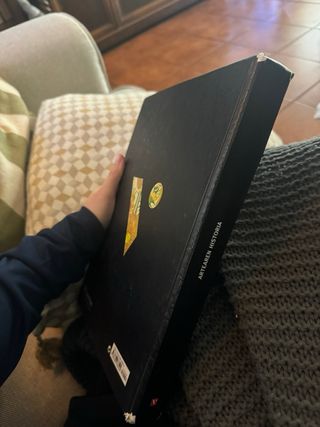 ARTEAREN HISTORIA (BATXILERGOA)