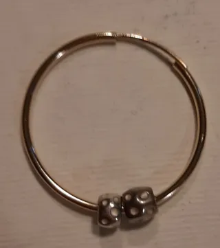 Orecchini con componenti Dodo argento