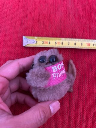 Imán Bohol Filipinas