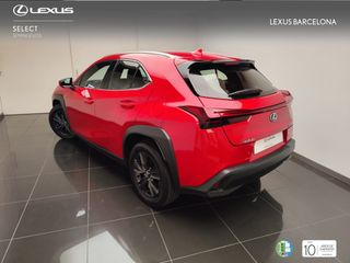 Lexus UX300h UX+ 2025 REF 3169