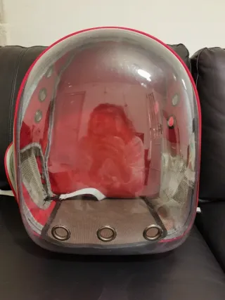 Mochila Transportadora Transparente para Gatos