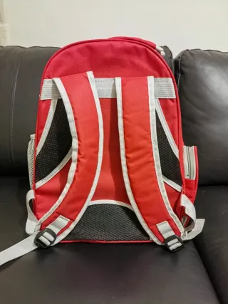 Mochila Transportadora Transparente para Gatos