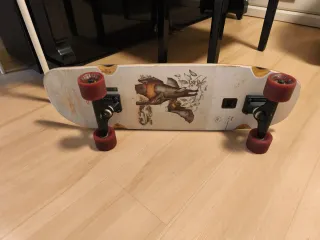 Cruiser longboard 28"
