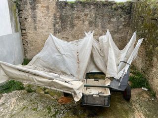 Paraguas manual, recolector de olivas