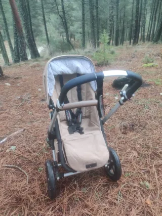 Carrito Bugaboo Camaleón 3