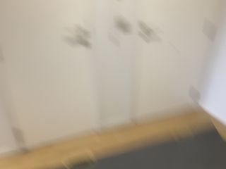 Cama plegable Quechua L100