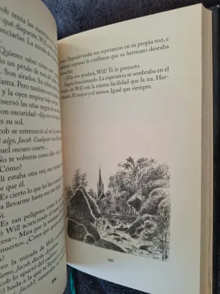 Reckless. Carne de piedra: Libro 1