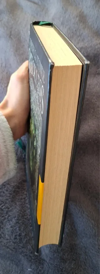 Reckless. Carne de piedra: Libro 1