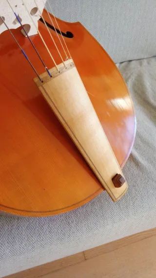Viola da gamba bajo