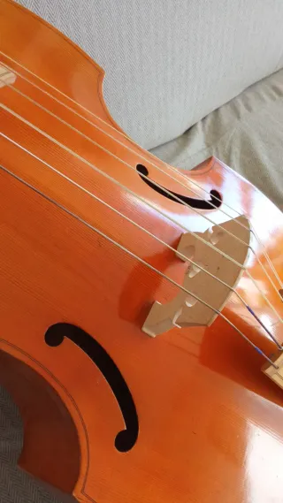 Viola da gamba bajo