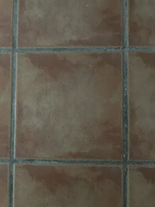 Baldosa 31x31 BUSCO si tuvieras envíame chat